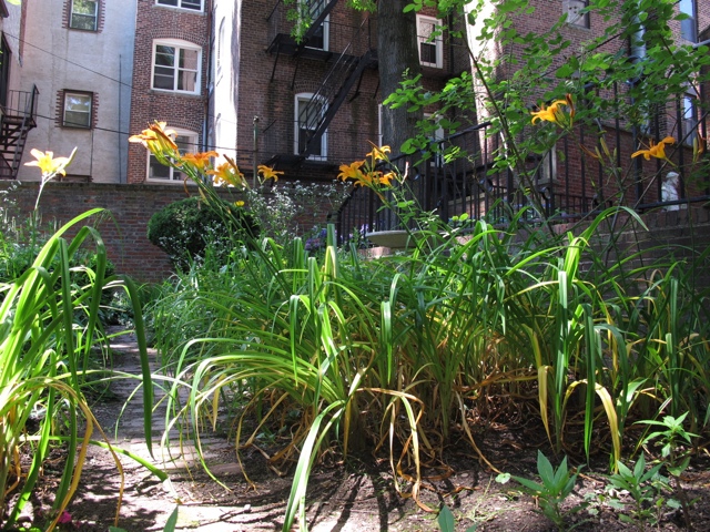 20110706-035022.jpg